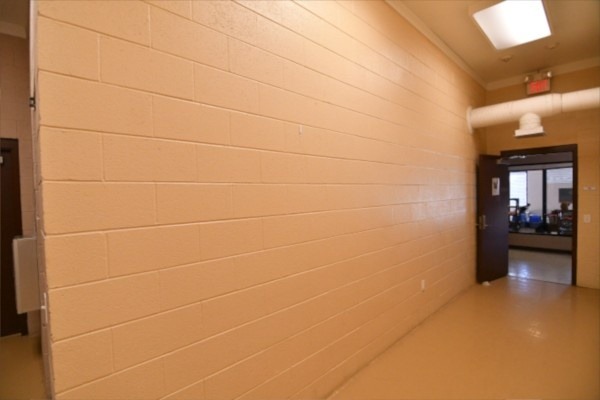 Fundraiser By Melanie Morrison Drab To Fab Animal Shelter Makeover