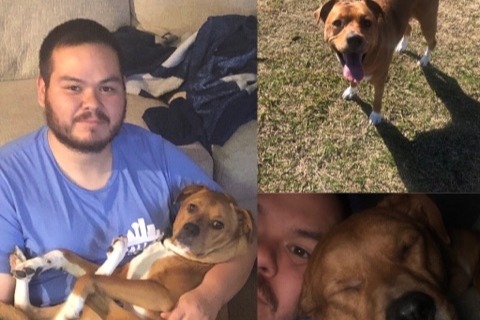 Harley's ACL Repair Surgery photo