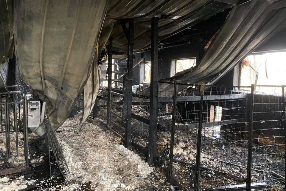 Fundraiser for Aaron Patton by Robert Ecker Patton Family Farm Assistance