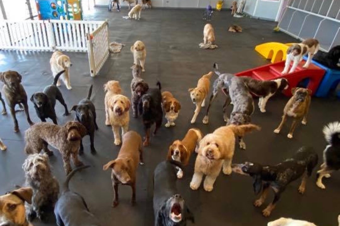 Fundraiser for Karen Markese by Valerie Fouty Biscuits & Bows