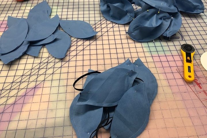 Protection for our Medical Community photo