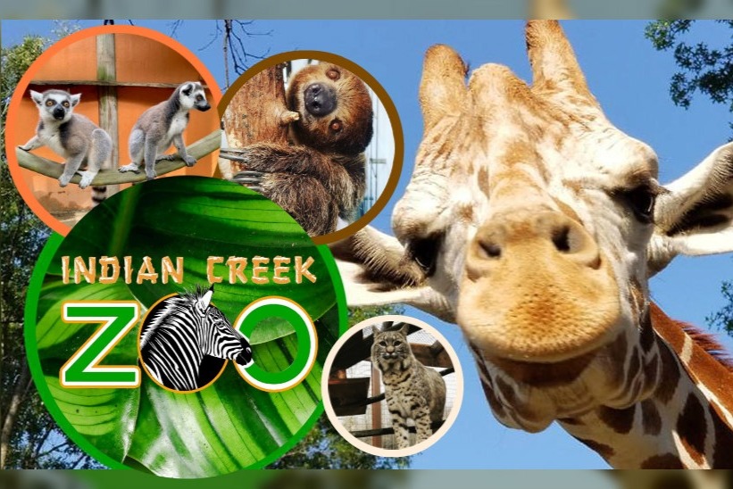 Fundraiser by Indian Creek Zoo Staff : Indian Creek Zoo Needs You!