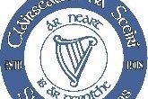 Skerries Harps Ladies -Jane’s House Fundraiser photo