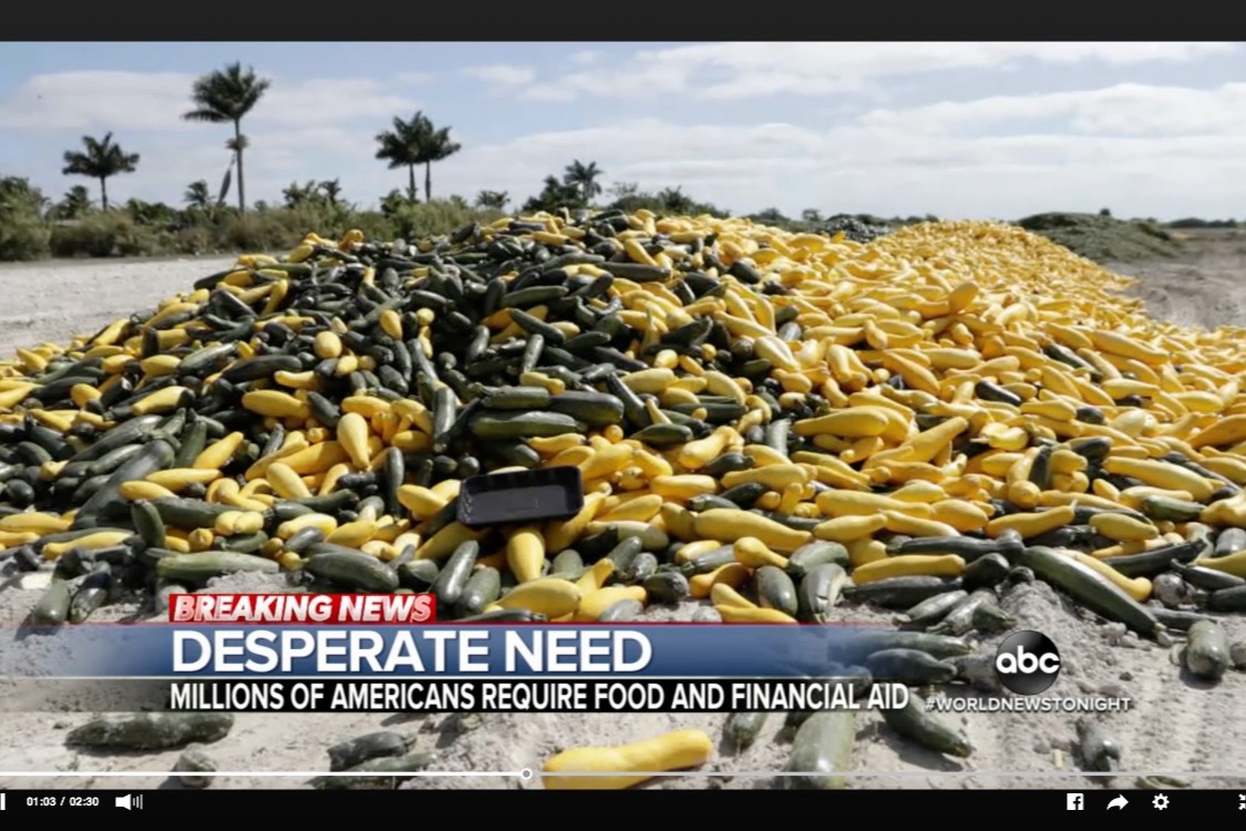 Foto per Farms to Food Banks