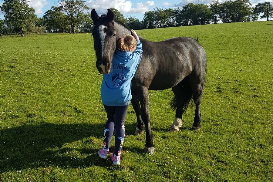 Fundraiser by Shona Hartness Horses & Ponies of Hooves & Paws