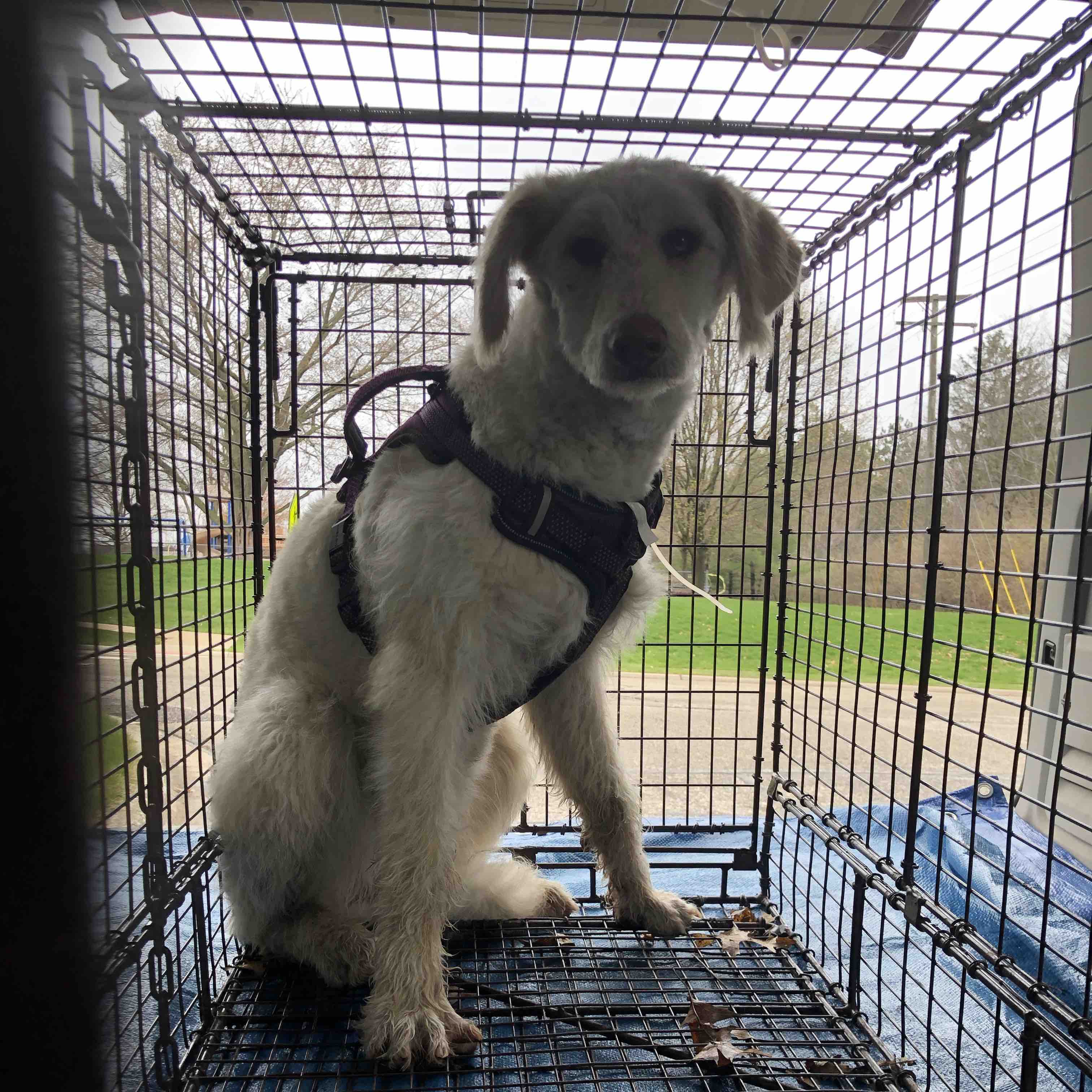 South Lyon Murphy Equipment photo