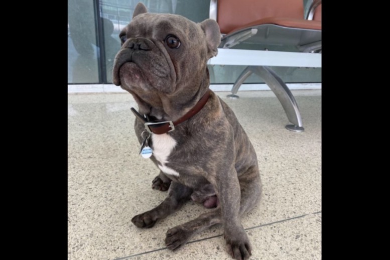 Abel’s Emergency Spinal Surgery photo