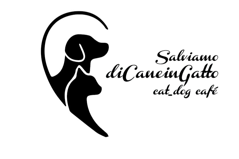 Salviamo il catcafé DiCaneInGatto di Udine photo