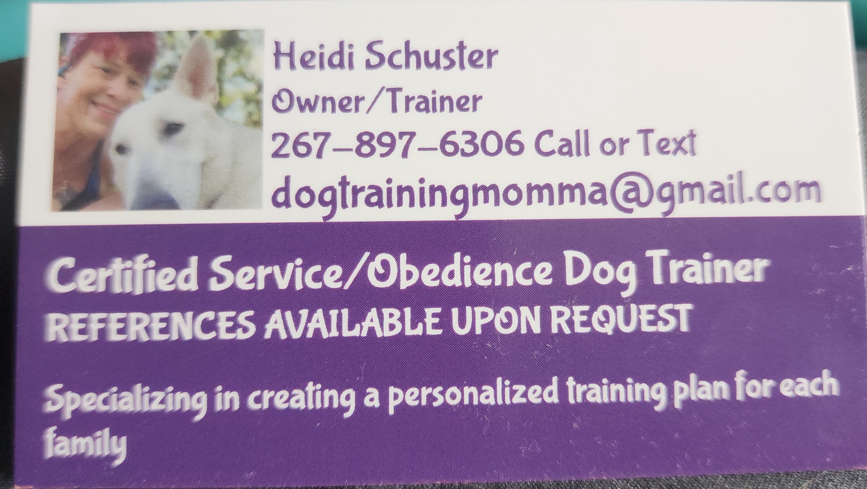 Donate to Heidi's Mission: Training Dogs, Changing Lives photo