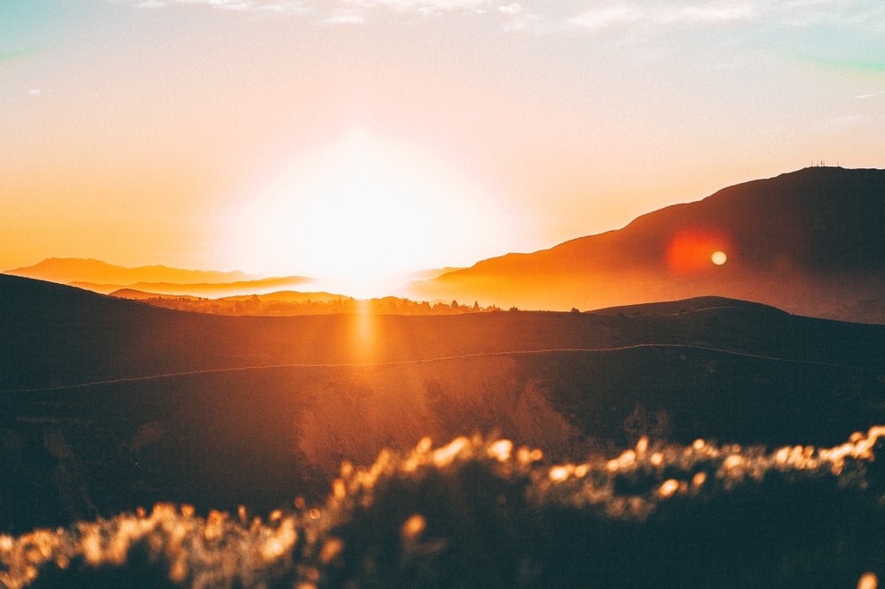 Elena Cotelnic ❤️ photo