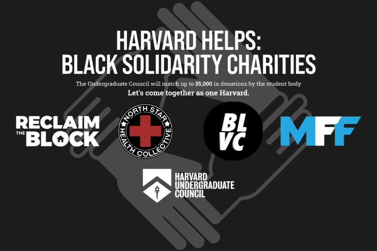 Harvard Helps: Black Solidarity Charities photo