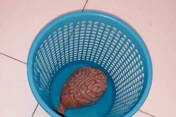 48557210_1591306906799571_r.jpeg