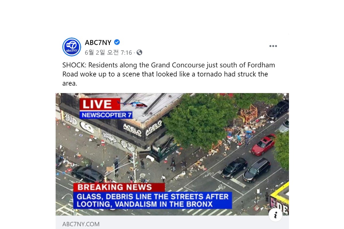 sneaker stores on fordham road bronx