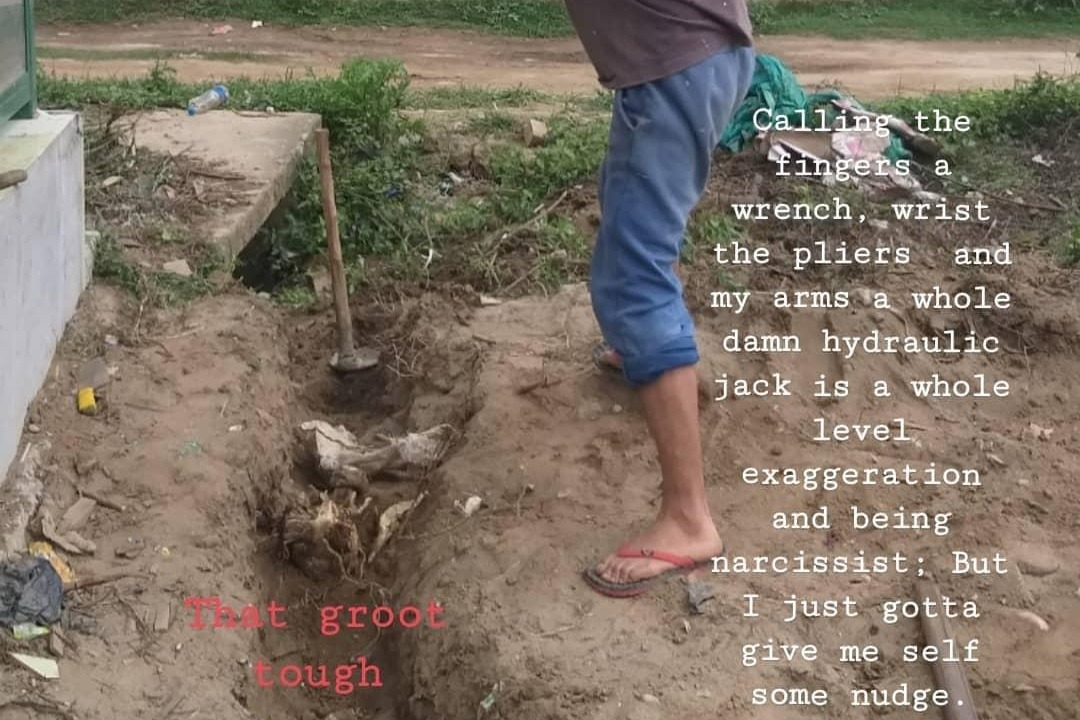 48713734_159179713965938_r.jpeg