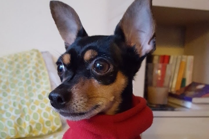 48725996_1591824593391467_r.jpeg