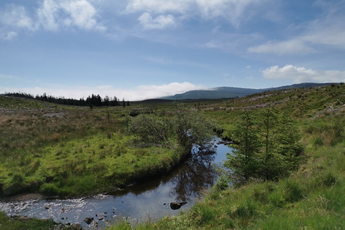 Fundraiser by Ri Gordon Uigshader Living Forest Project