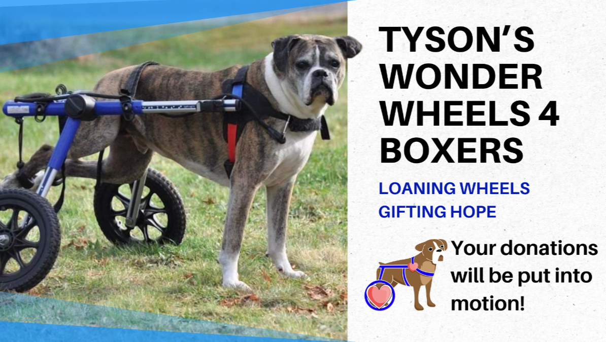 Fundraiser by Tysons Wonder Wheels Tyson’s Wonder Wheels Donations