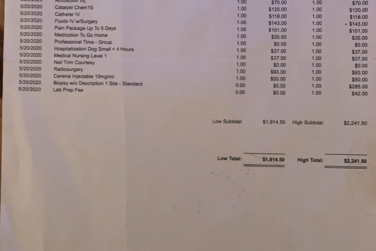 49184550_1605553019655482_r.jpeg