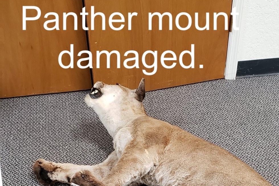 Fundraiser by Lindsey Peterson Trout Lake Nature Center