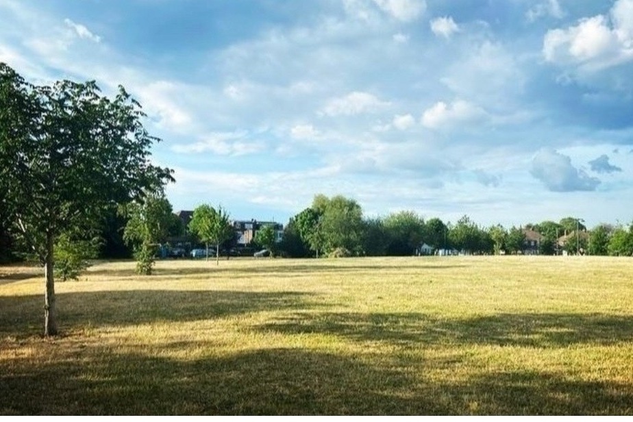 Fundraiser by Jennie Arthur Save the Finchley Memorial open space