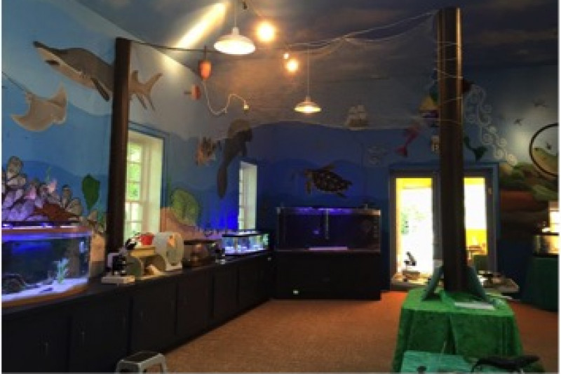 Fundraiser by Andrew Wilson Glen Echo Park Aquarium