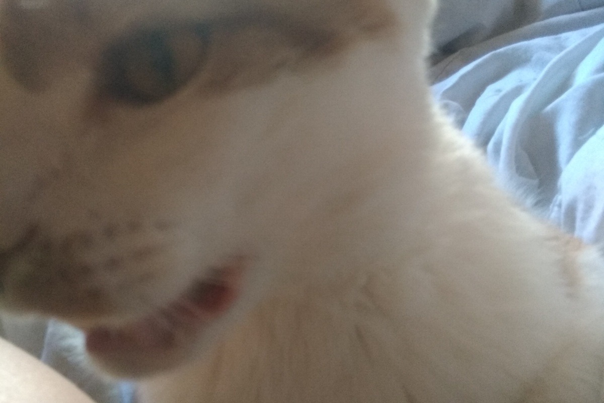 49663526_1594820767545764_r.jpeg