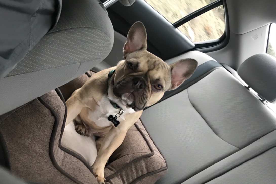 Kevin's Heart Surgery photo