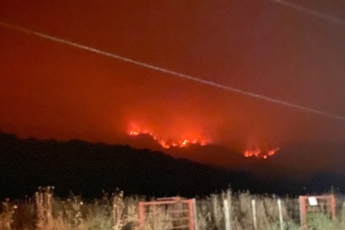 Fundraiser for Silvia Osornio by Connie HongSmith Kathy’s Little