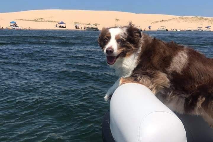 50623306_1598982705401334_r.jpeg