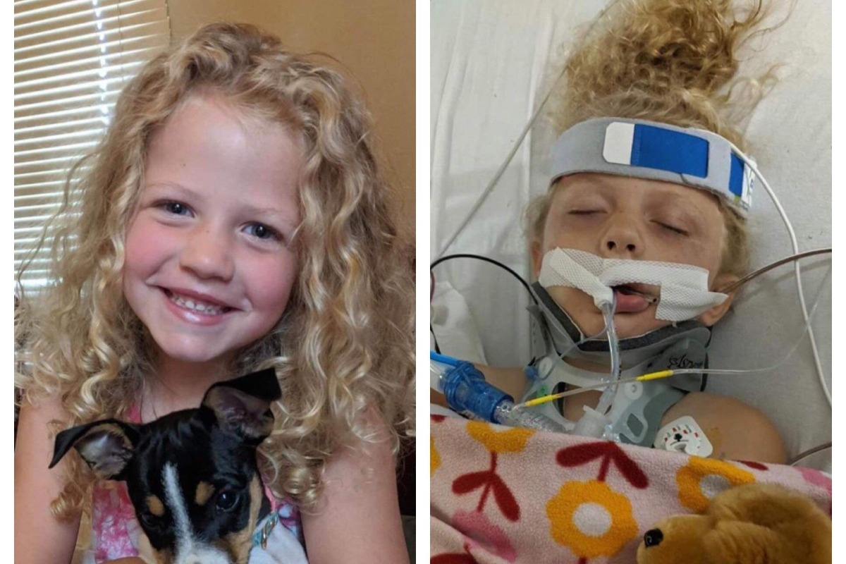 Fundraiser by Keli Stclair Please consider donating to