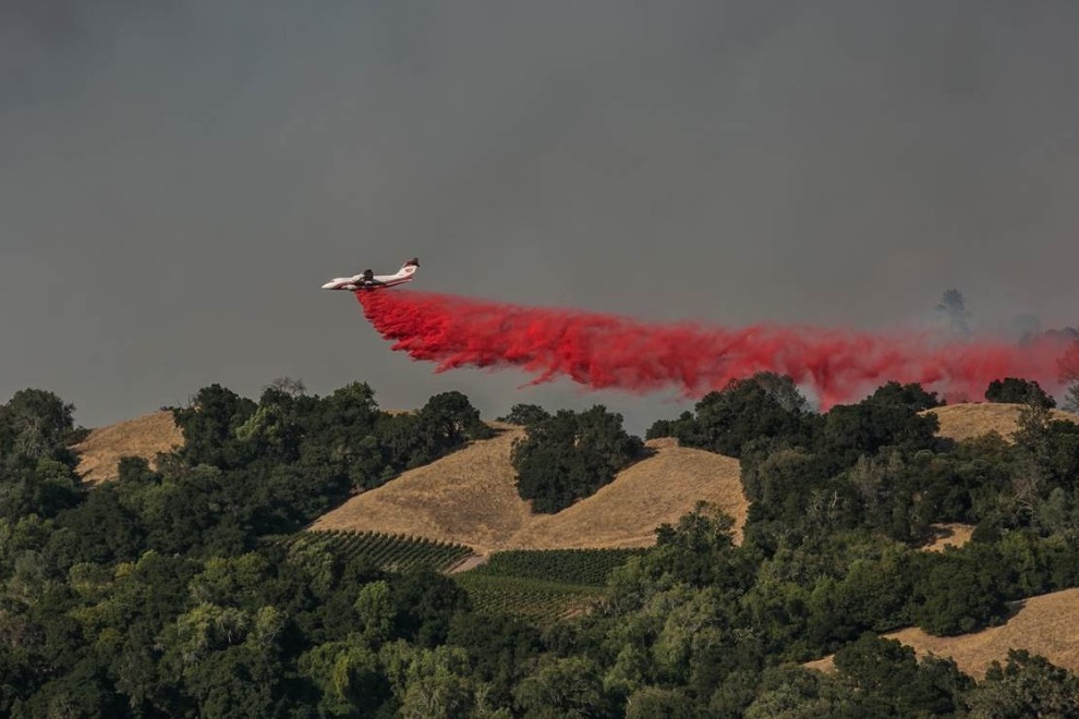 2020 Wine Country Fire Relief Fund photo
