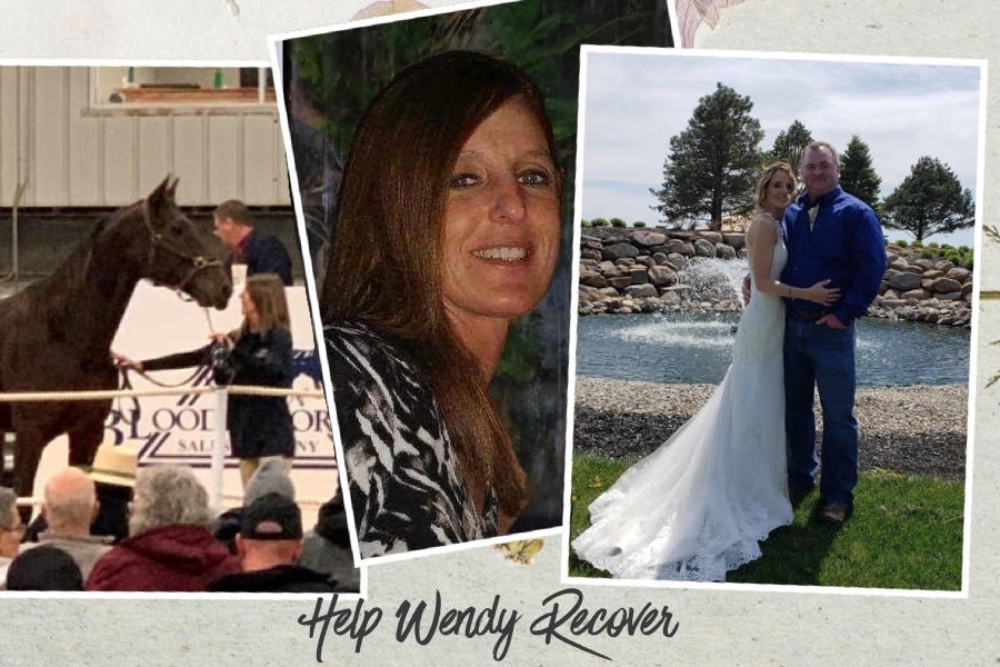 Tragically Kicked by a Horse! Please Help Wendy! photo