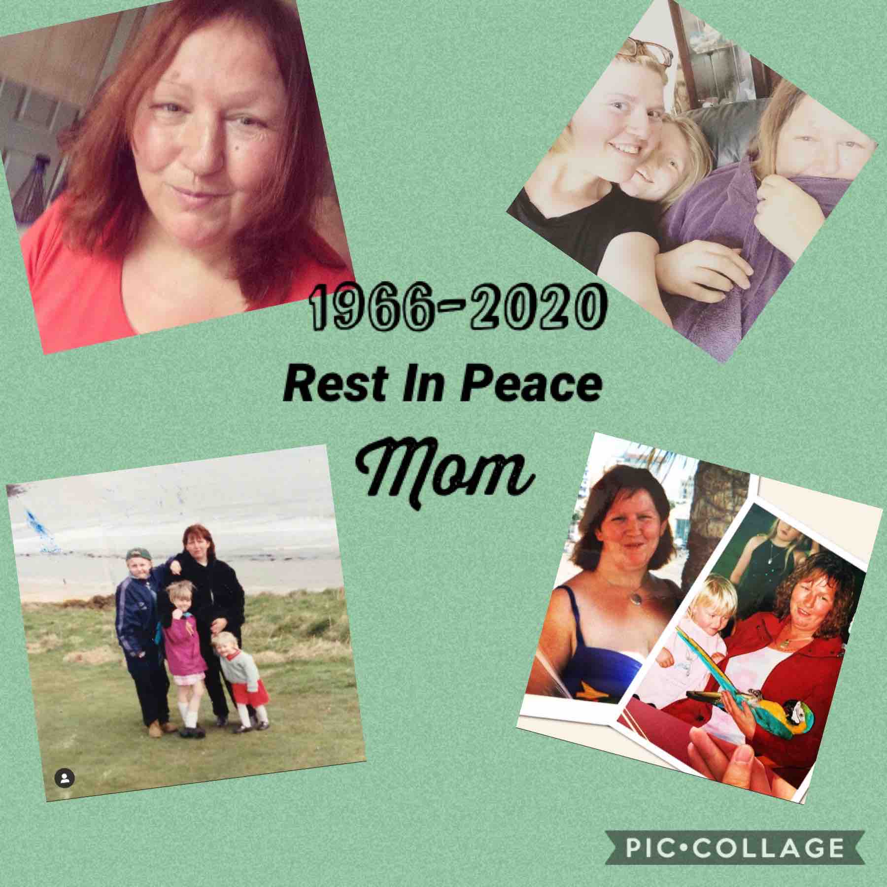 Fundraiser for Scott Ore by Marissa Henn Funding for Susan Jameson’s