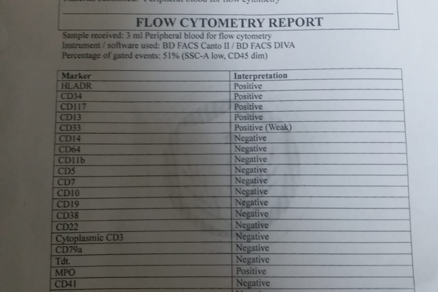 51020350_1599447350389833_r.jpeg