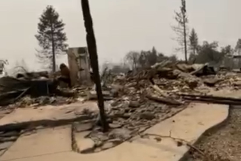 Fundraiser for Danielle Akoidu by Darren Brannan Forest fire