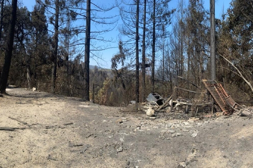 Caleb, Palmer and Ron Horne & California fires photo