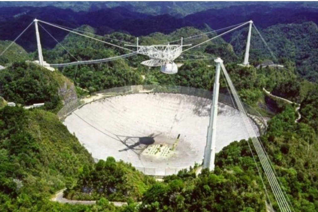 Fundraiser by Alex Hadwin : Helping Arecibo Observatory Cats
