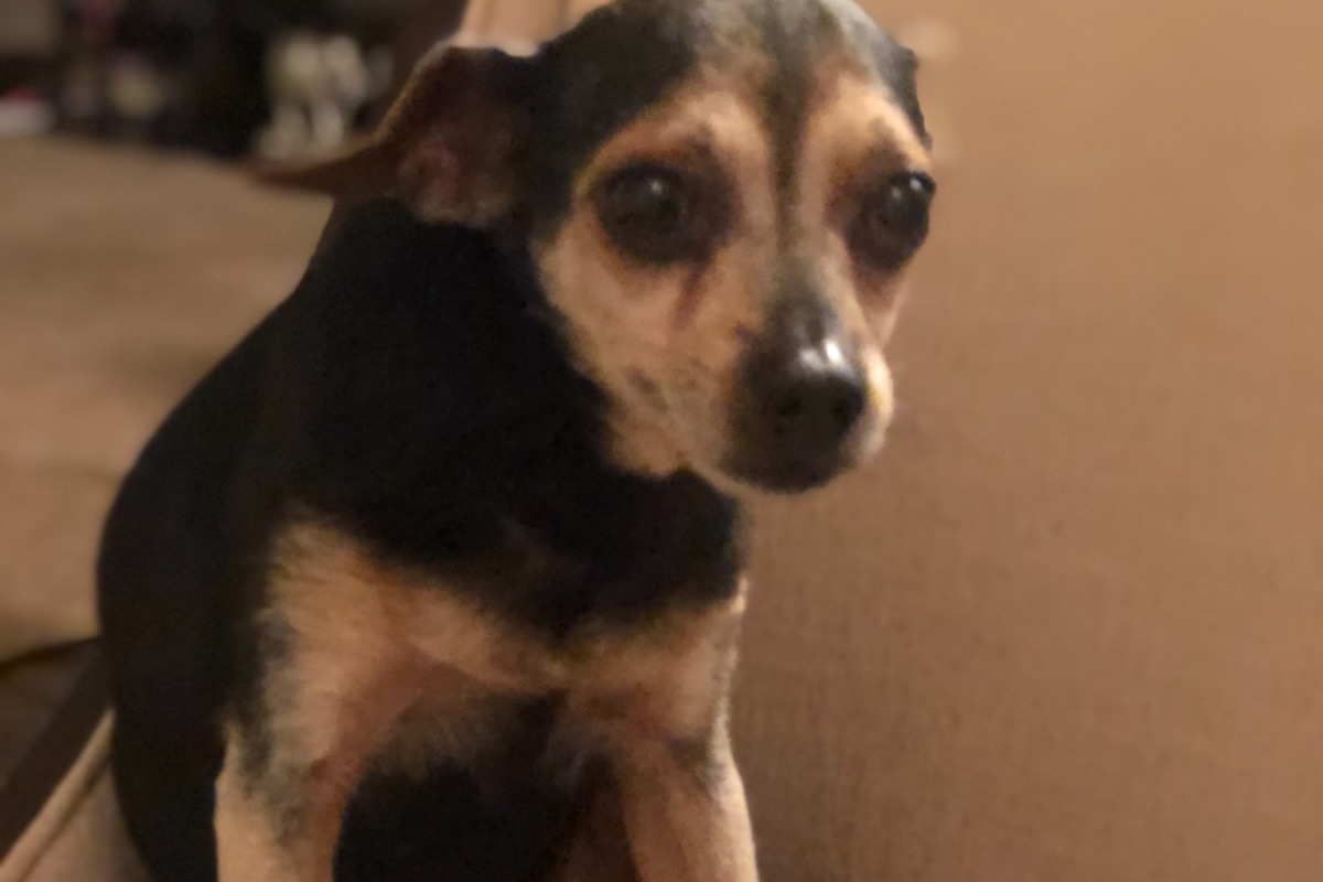 51381676_1600733265813052_r.jpeg