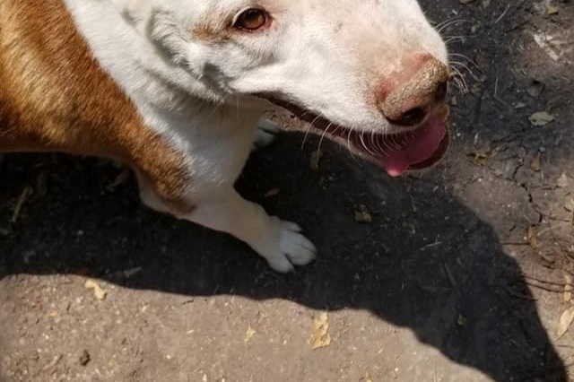 51429268_160090440732684_r.jpeg