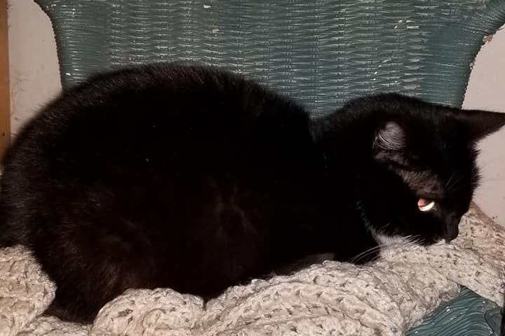 51429268_1600904514409371_r.jpeg