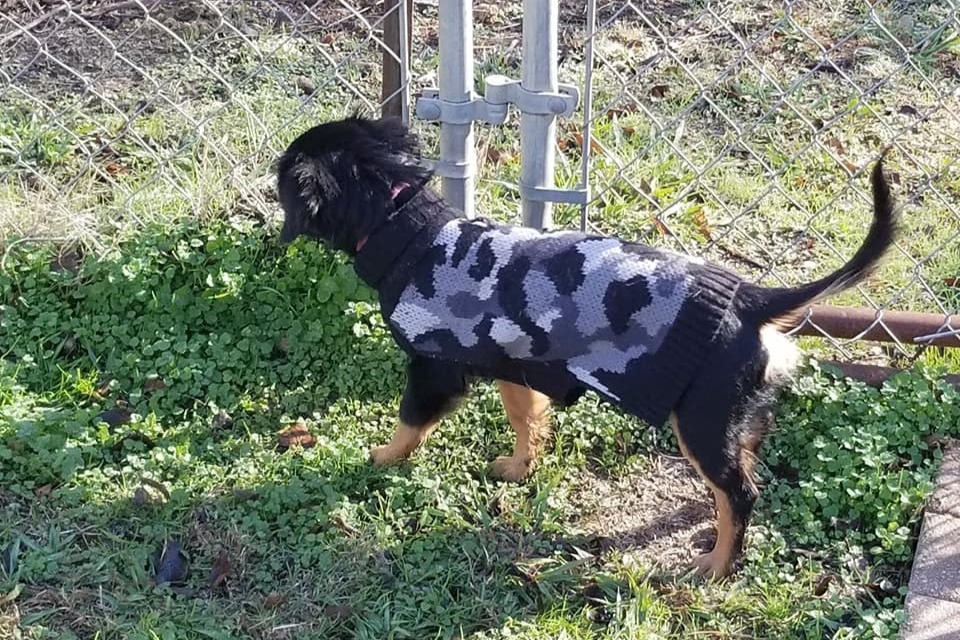 51429268_1600904666583325_r.jpeg
