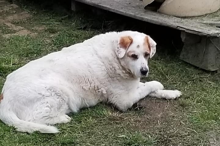 51429268_1600904748698067_r.jpeg