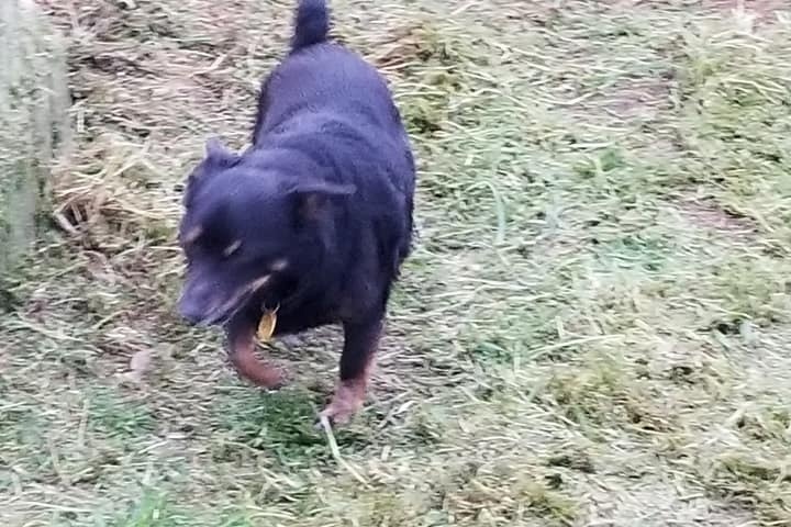51429268_1600904845433398_r.jpeg