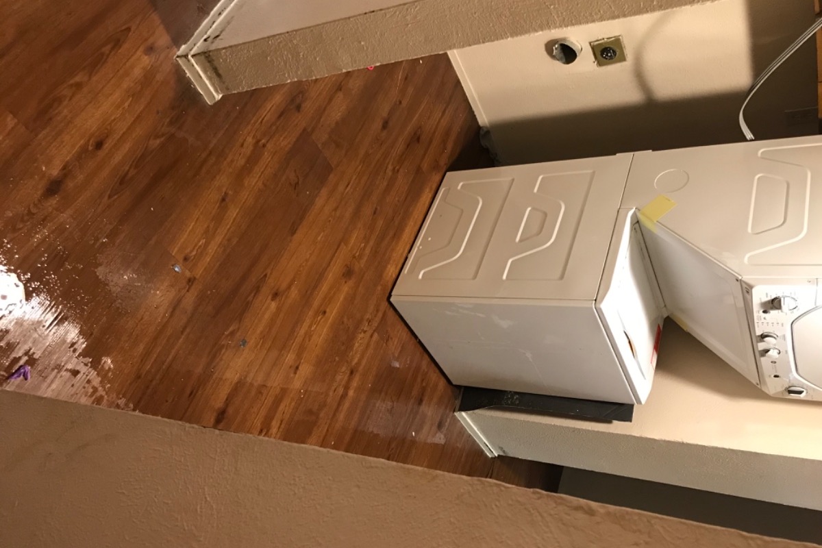 51453454_1600991997893681_r.jpeg
