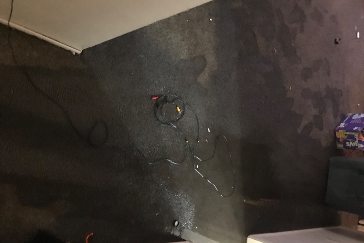 51453454_1600992026951385_r.jpeg