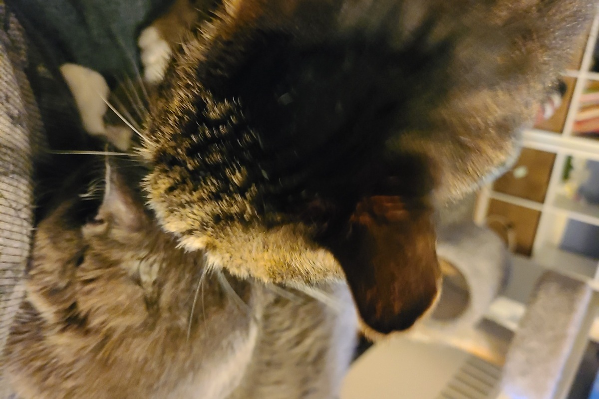 51494998_1601158114757545_r.jpeg
