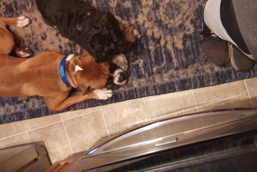 51495640_160116157171032_r.jpeg