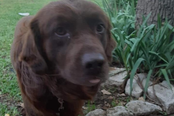 51536518_1601327768519946_r.jpeg