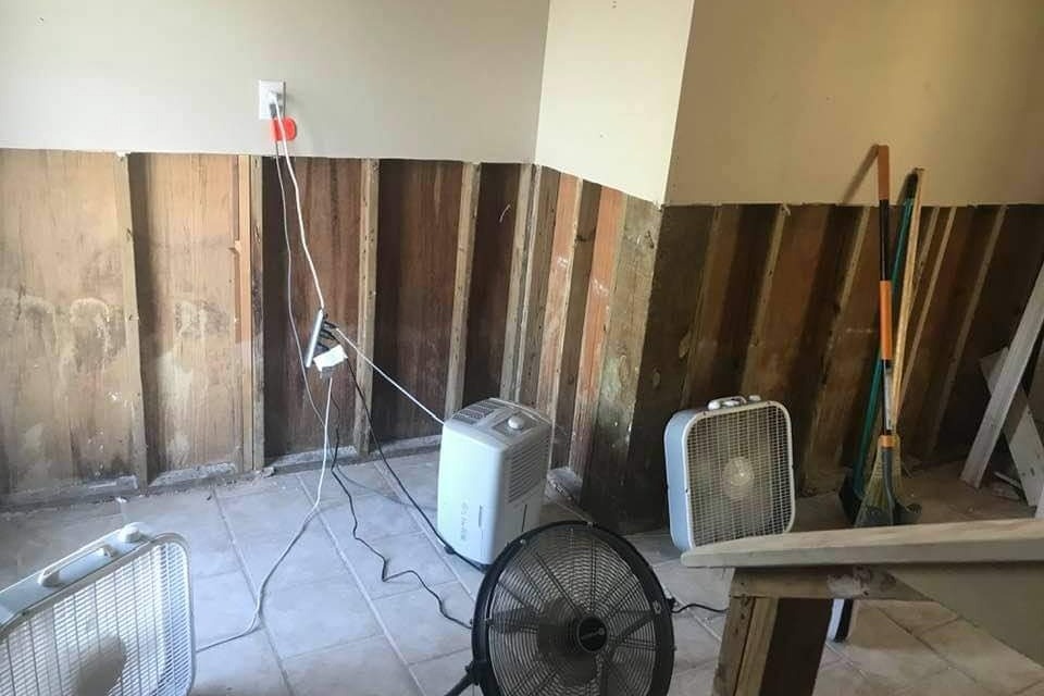 51643632_1601694734295198_r.jpeg