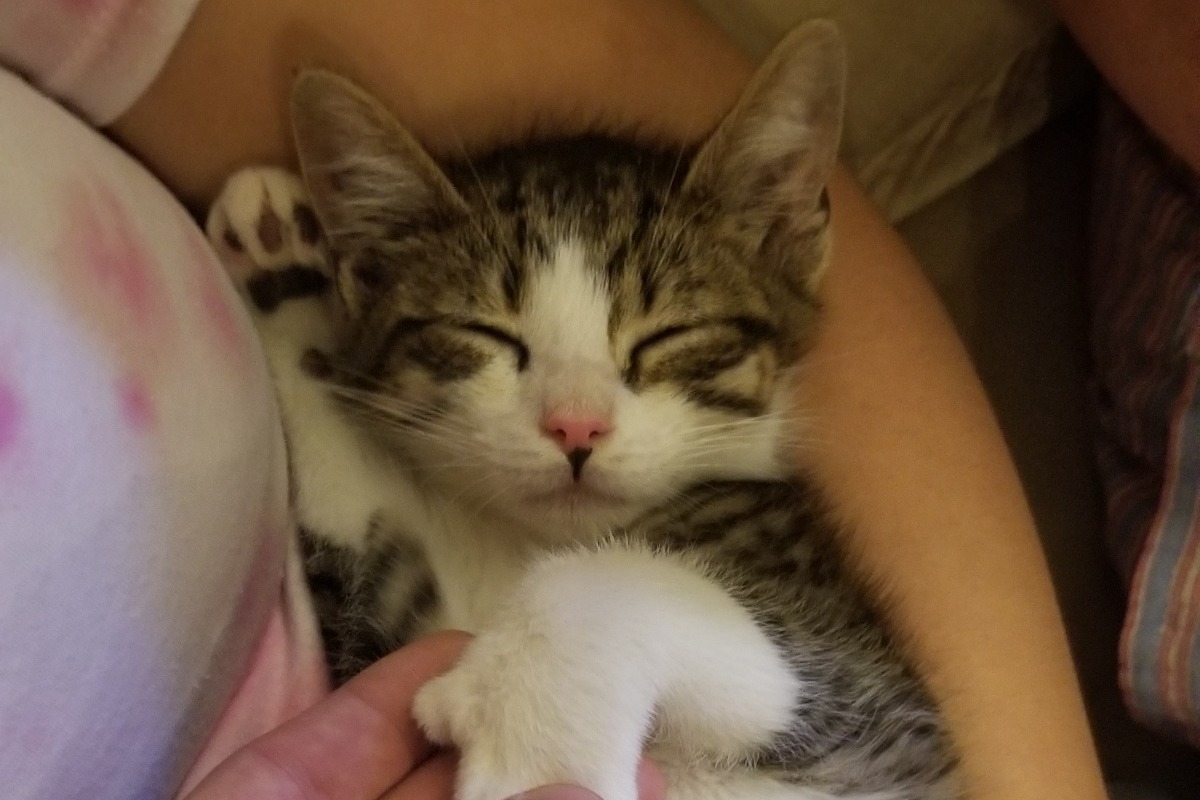 51779708_1602213052135751_r.jpeg
